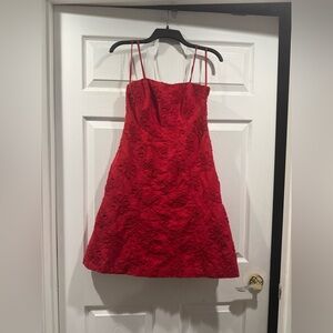 Worth Red Floral Lace Mini Dress with Double Spaghetti Straps. Strapless . Size4